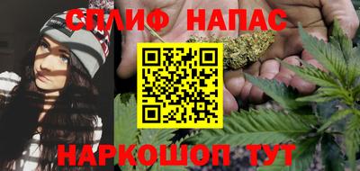 мдпв Пенза