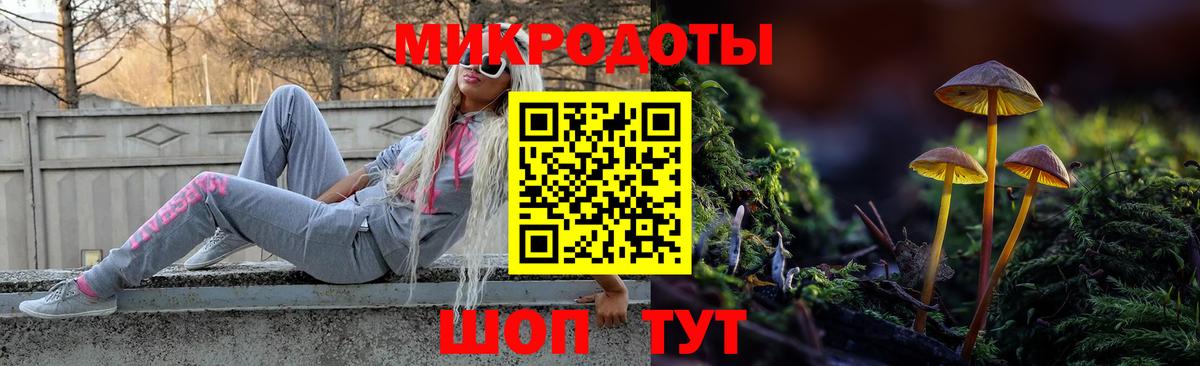 Галлюциногенные грибы Cubensis  Галлюциногенные грибы прущие грибы  Уварово  Вход с VPN 